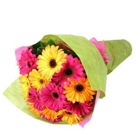 Bright Mix Gerberas